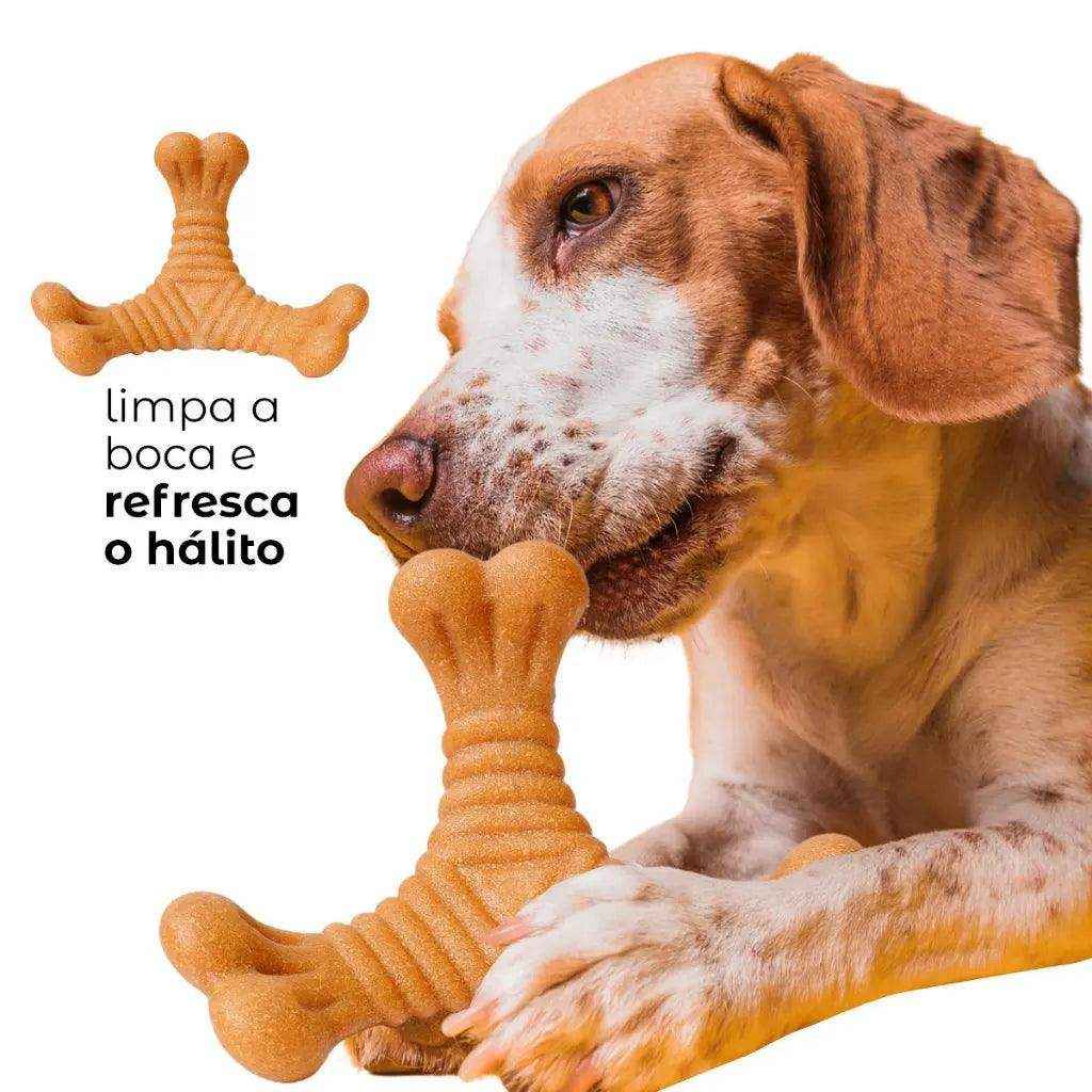 Osso Mordedor Massageador Brinquedo Para Cães Pets Anti-Stress - HalloStore